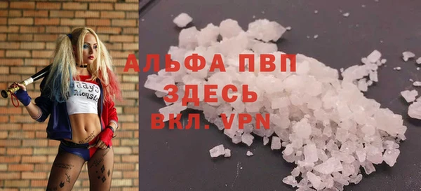 стаф Нефтегорск