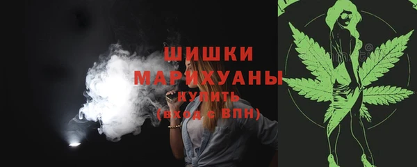стаф Нефтегорск