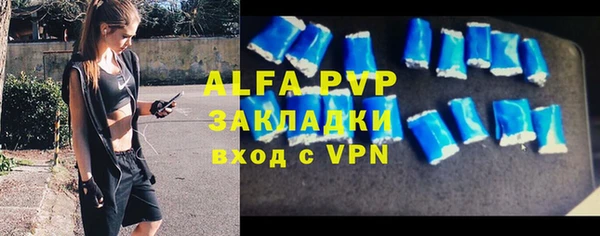 стаф Нефтегорск