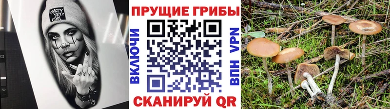 Галлюциногенные грибы прущие грибы Нефтегорск